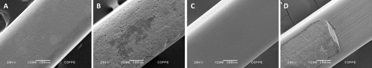 Figure 4. Photomicrographs of postclinical coated wires: (A) group I with the entire coating layer lost, (B) group II with remaining coating, (C) group III with the entire coating layer lost, and (D) group IV with remaining coating. Original magnification 200×.