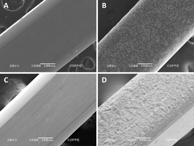 Figure 5. Photomicrographs of group II wires: (A) as-received control wire, (B) as-received coated wire, (C) postclinical control wire, and (D) rough surface of postclinical coated wire that lost the coating layer. Original magnification 200×.