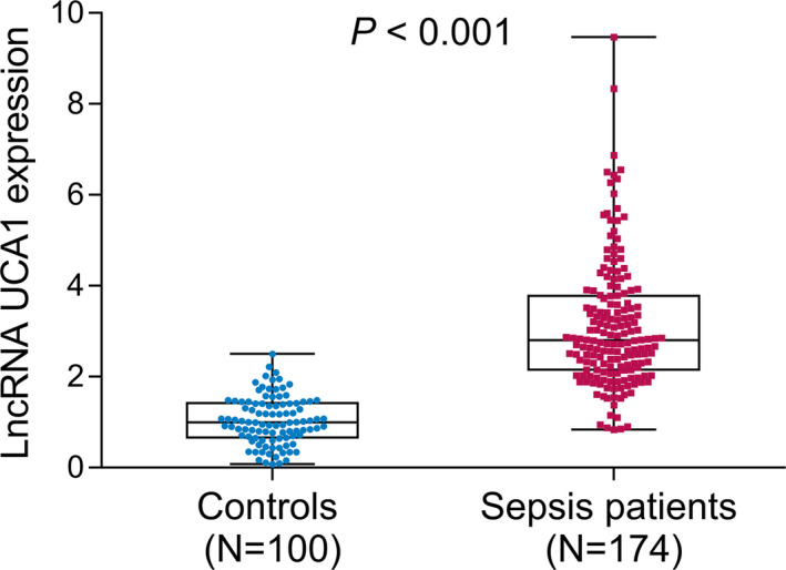 FIGURE 1