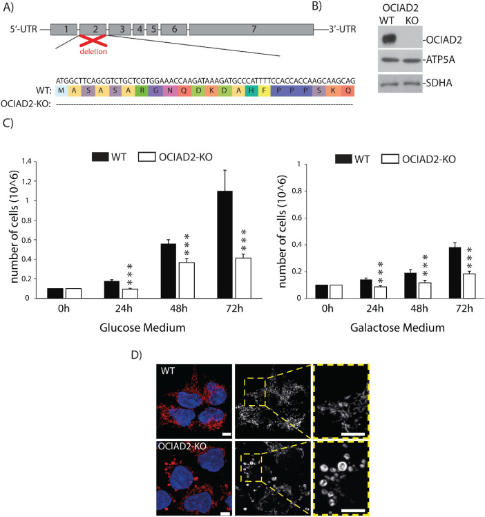 FIGURE 3: