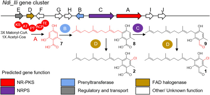 Figure 2