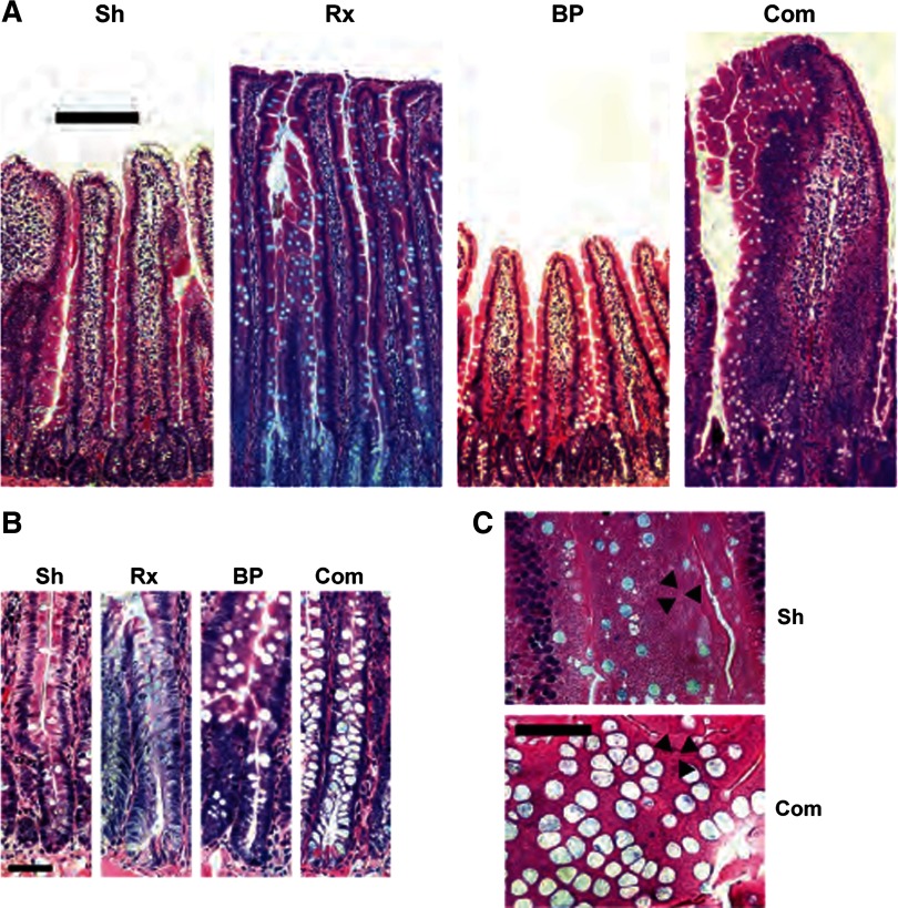 Fig. 4.