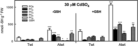 Fig. 7.