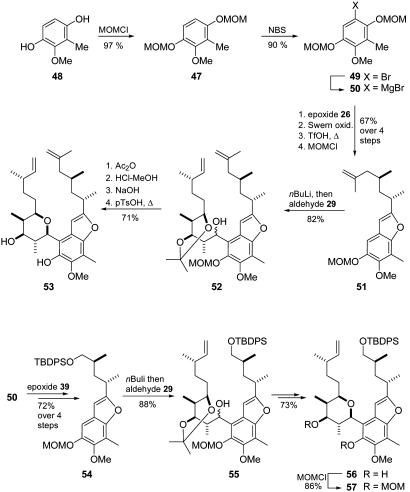 Fig. 10.