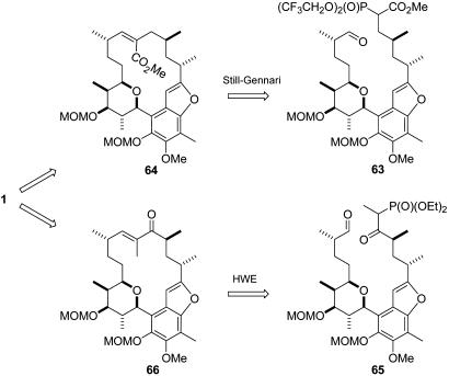 Fig. 13.