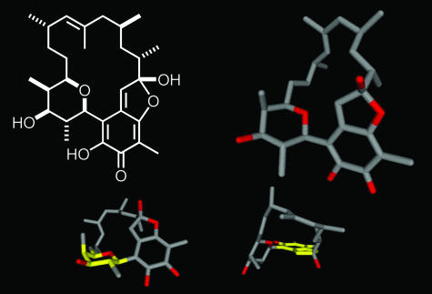 Fig. 1.