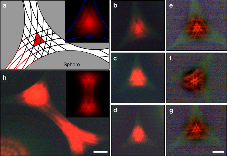 Fig. 3