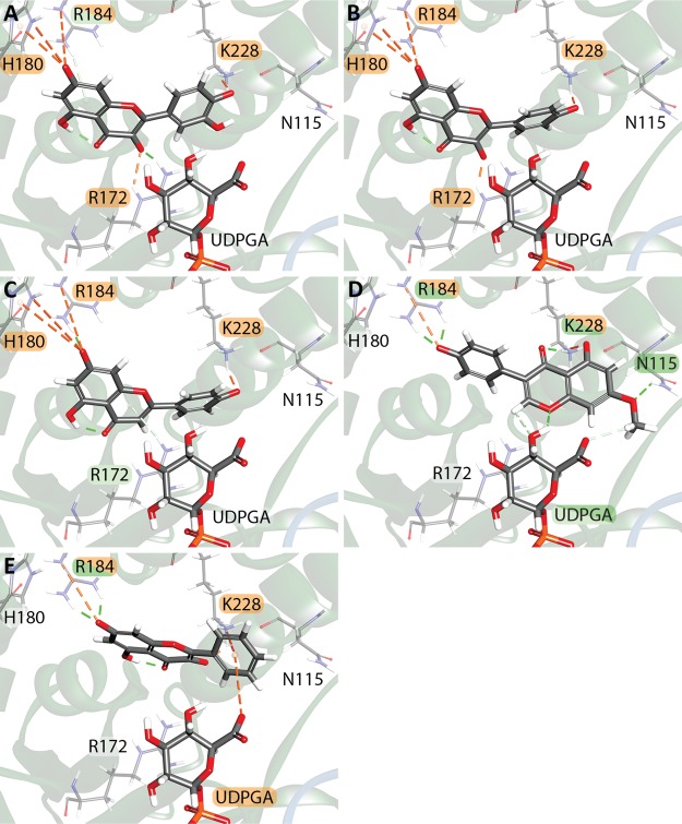 Figure 4