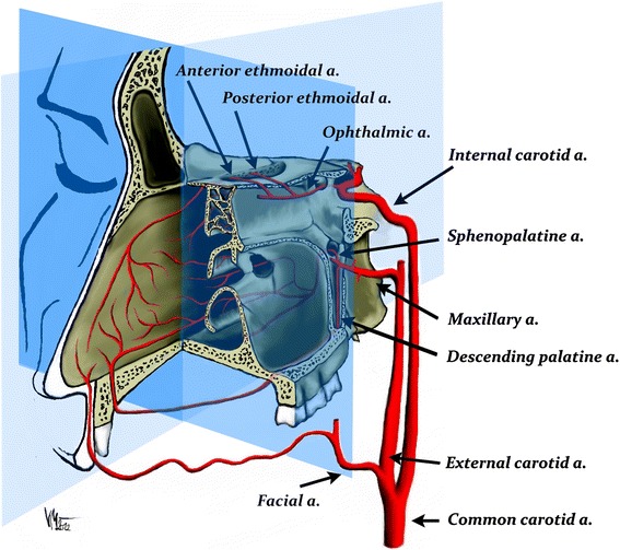 Fig. 1