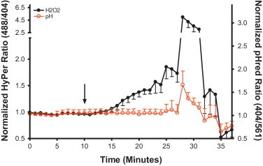 Fig. 2