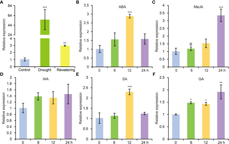 Figure 2