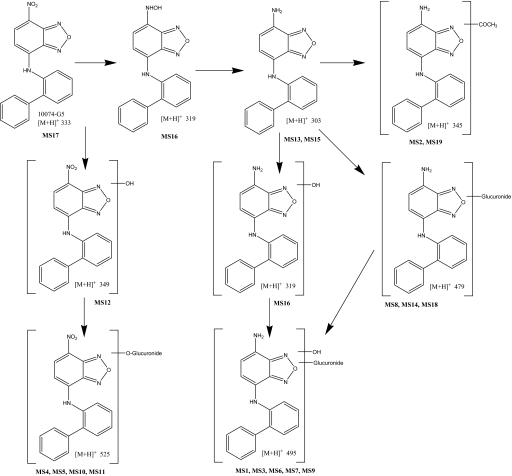 Fig. 9.