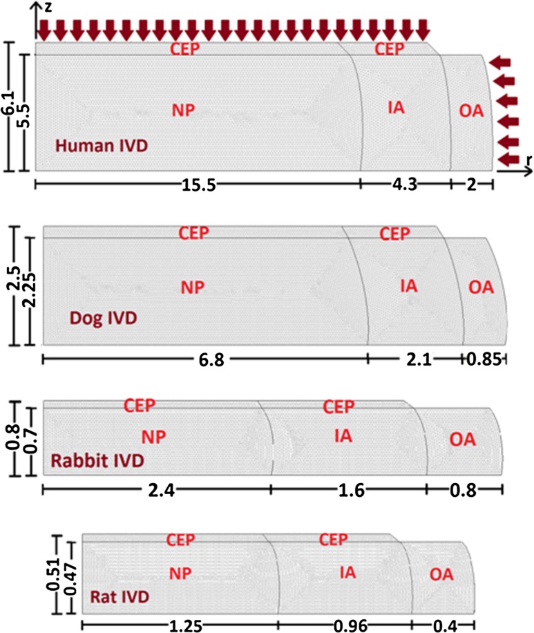 Fig. 1