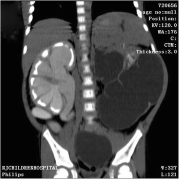 Fig. 3