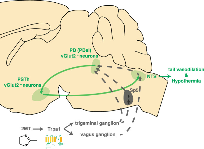 Fig. 8