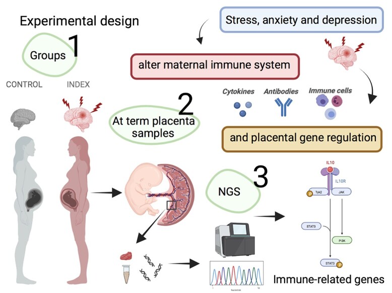 Graphical Abstract