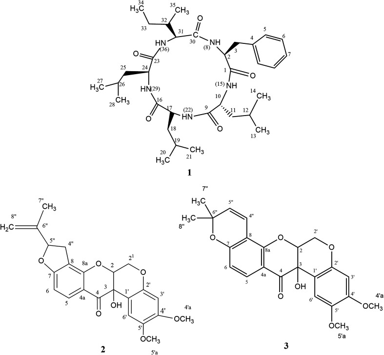 Fig. 2