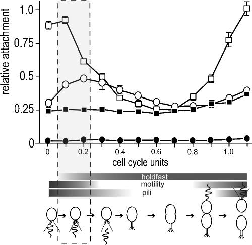 FIG. 1.