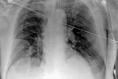 Fig 8