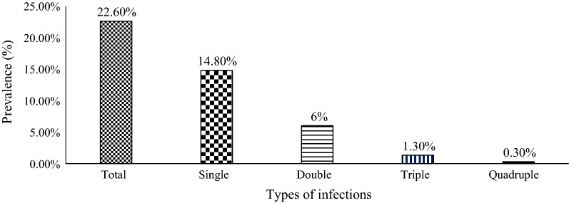 Fig. 1