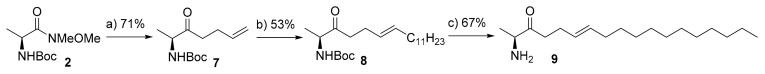 Scheme 2