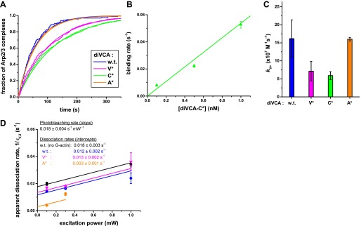 Figure 4—figure supplement 2.