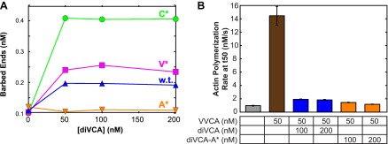 Figure 5—figure supplement 2.