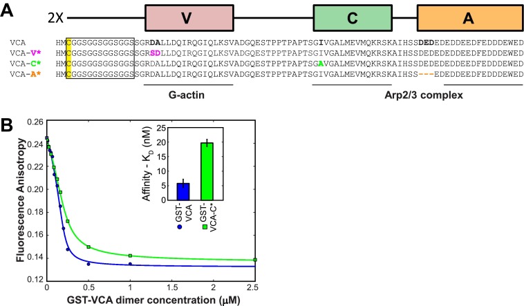 Figure 4—figure supplement 1.