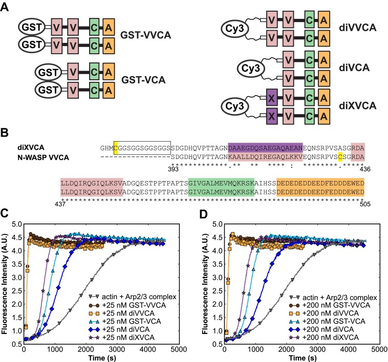 Figure 2—figure supplement 2.