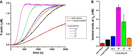 Figure 5—figure supplement 1.