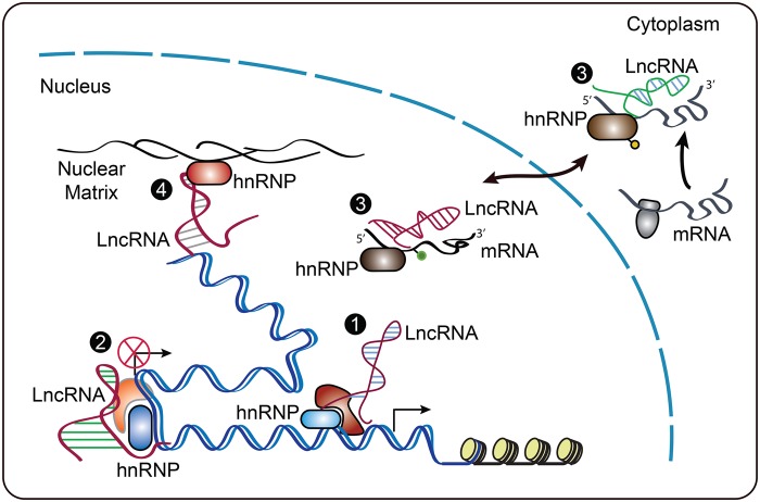 Figure 1.