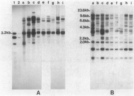 graphic file with name pnas00256-0183-a.jpg