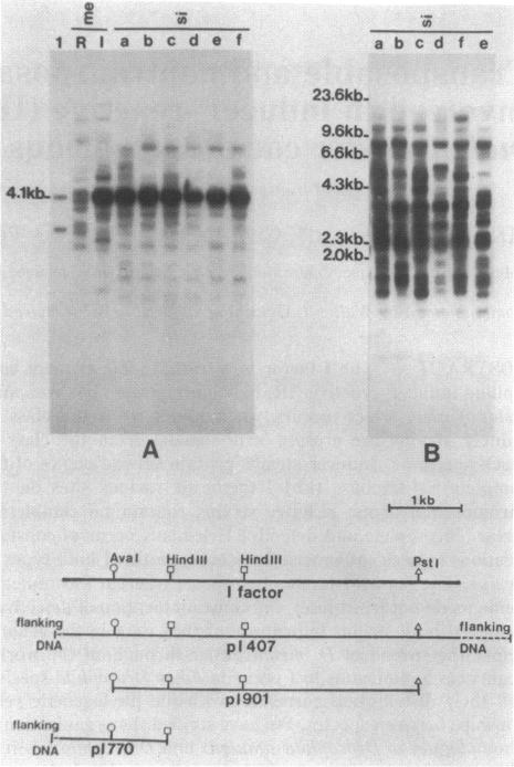 graphic file with name pnas00256-0181-a.jpg