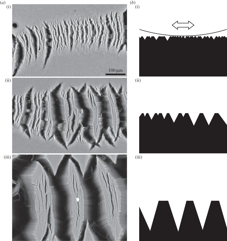 Figure 1.