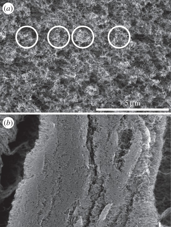 Figure 2.