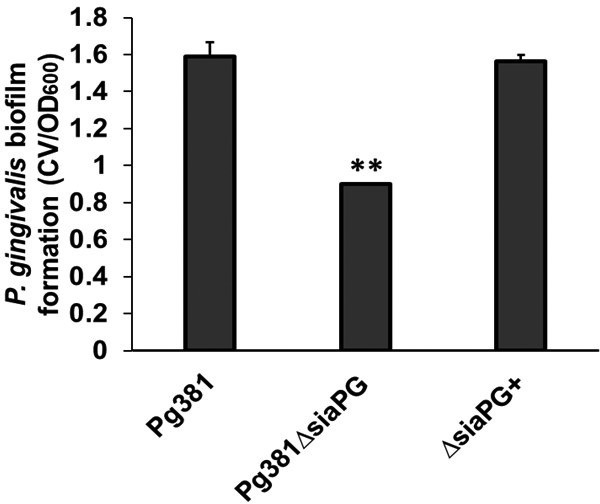 Fig. 9.