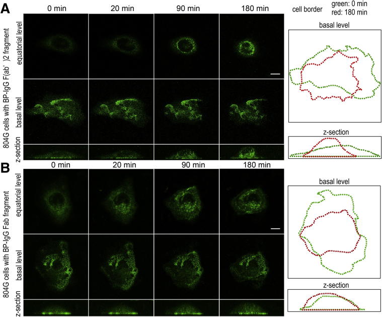 Figure 3