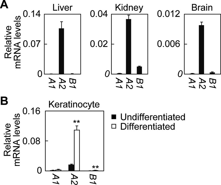 FIGURE 4.