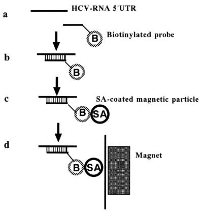 FIG. 1