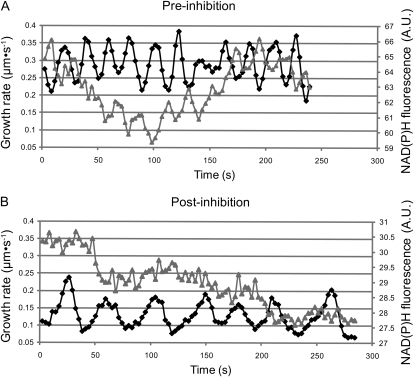 Figure 5.