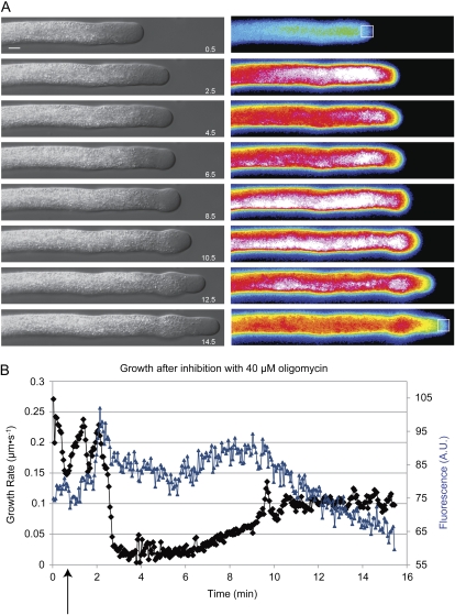 Figure 3.