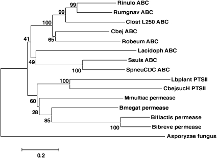 Fig. 6.