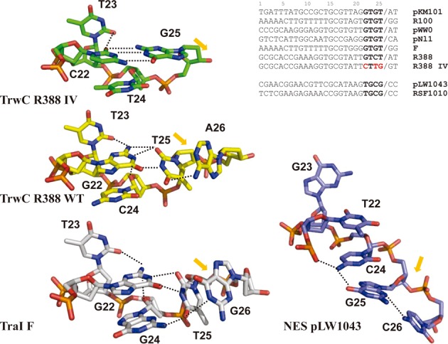 Figure 5.