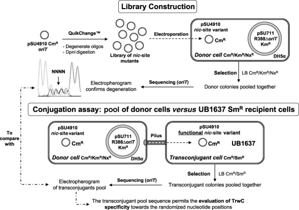 Figure 2.