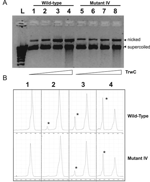 Figure 6.