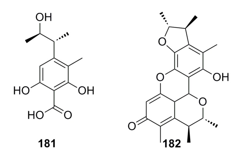 Figure 32