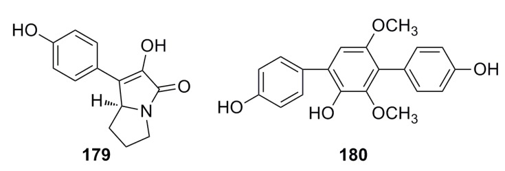 Figure 31