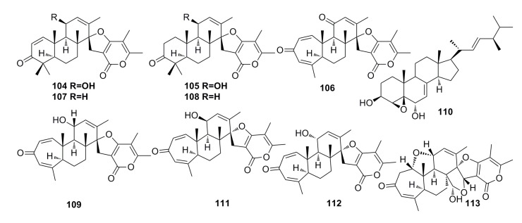 Figure 17