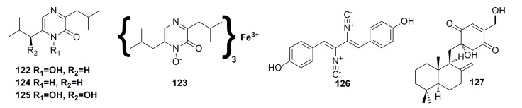 Figure 20