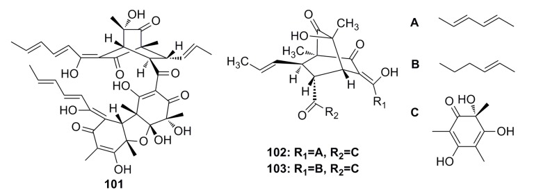 Figure 16